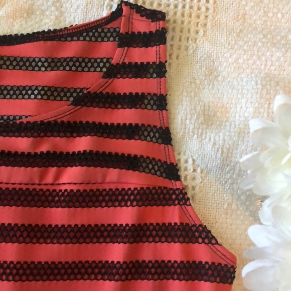 Pink and Black Mesh Stripe Dress - Picture 2 of 2